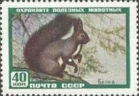 1959-056 Марка СССР Белка   Фауна I Θ