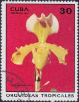 (1971-041) Марка Куба "Башмачок"    Орхидеи III Θ