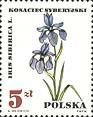 (1967-035) Марка Польша "Ирис сибирский"   Лекарственные растения III Θ