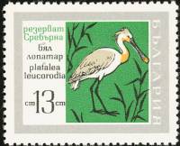 (1968-063) Марка Болгария "Колпица"   Заповедник «Серебряный» II Θ