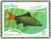 (1988-012) Марка Вьетнам "Двухцветный лабео"    Тропические рыбы III Θ