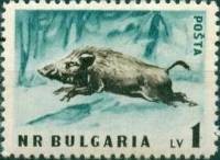 (1958-016) Марка Болгария "Кабан" Перф лин 11   Дикие животные Болгарии III O