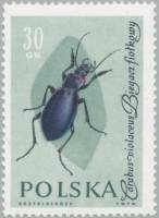 (1961-061) Марка Польша "Жужелица"   Насекомые II Θ