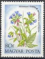 (1973-057) Марка Венгрия "Медуница мягкая"    Полевые цветы I Θ