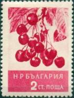 (1956-012) Марка Болгария "Вишня"   Фрукты (2) II Θ