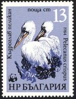 (1984-073) Марка Болгария "Пеликан (2)"   Всемирная охрана природы I Θ