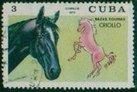 (1972-042) Марка Куба "Лошадь Криолло"    Лошади III Θ