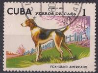 (1976-009) Марка Куба "Американский Фоксхаунд"    Охотничья собака III Θ