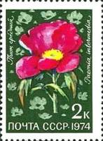 1974-101 Марка СССР Пион средний   Цветы альпийских лугов Средней Азии III O