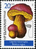 (1987-007) Марка Болгария "Боровик "   Грибы III Θ