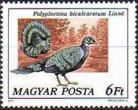 (1977-020) Марка Венгрия "Павлиний фазан"    Павлины и фазаны II Θ