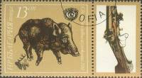 (1981-042) Марка + купон Болгария "Кабан"   Международная охотничья выставка, Пловдив I Θ