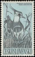 (1960-84) Марка Чехословакия "Чибис (Пигалица)"   Водоплавающие птицы III Θ