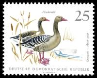 (1968-027) Марка Германия (ГДР) "Серый гусь"    Фауна III O