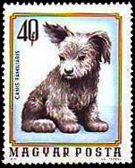 (1974-092) Марка Венгрия "Щенок"    Молодые домашние животные II Θ