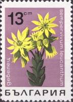 (1968-018) Марка Болгария "Молодило белоцветное"   Горные цветы II Θ