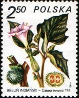 (1980-044) Марка Польша "Дурман индейский"    Лекарственное растение I Θ