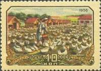 1956-086 Марка СССР На птицеферме   Сельское хозяйство в СССР I Θ
