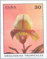 (1972-015) Марка Куба "Башмачок крупноцветковый"    Орхидеи III Θ