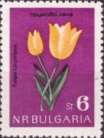 (1963-052) Марка Болгария "Тюльпан Урумова"   Цветы II Θ