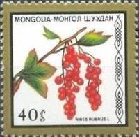 (1987-044) Марка Монголия "Красная смородина"    Съедобные ягоды III Θ