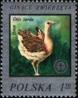 (1977-023) Марка Польша "Дрофа"    Редкие животные II Θ