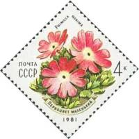 1981-047 Марка СССР Первоцвет маленький  Цветы украинских Карпат III Θ