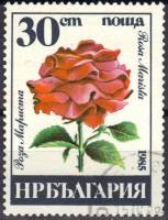 (1985-057) Марка Болгария "Роза Мариста"   Розы II Θ