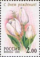 2001-013 Марка Россия Хиберния  Флора. Тюльпаны III O