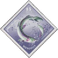 (1965-025) Марка Монголия "Осетр"    Речные хищные рыбы III O