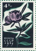 1965-040 Марка СССР Пион   Цветы III Θ