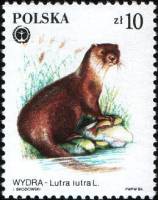 (1984-053) Марка Польша "Выдра"    Защищенные пушные животные II Θ