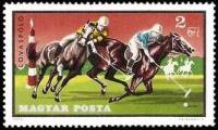 (1971-063) Марка Венгрия "Поло"    Конный спорт III O