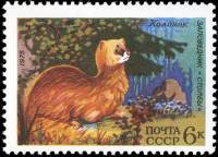 1975-074 Марка СССР Колонок  Фауна III O