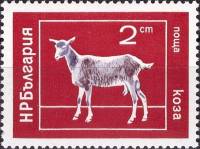 (1974-015) Марка Болгария "Коза"    Домашние животные II Θ