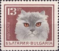 (1967-026) Марка Болгария "Персидская белая"   Домашние кошки II Θ