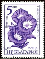 (1985-094) Марка Болгария "Вьюнок трёхцветный"   Садовые цветы (Стандартный выпуск) III Θ