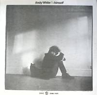 Пластинка виниловая Энди Уайт Лично Cooking Vinyl 300 мм. Excellent