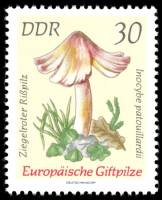 (1974-033) Марка Германия (ГДР) "Волоконница Патуйяра"    Ядовитые грибы III Θ