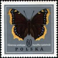 (1967-060) Марка Польша "Траурница"   Бабочки III Θ