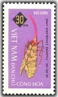 (1965-041) Марка Вьетнам "Фонарник"   Насекомые II Θ