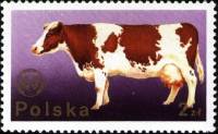 (1975-029) Марка Польша "Корова"    20-й конгресс Европейской зоотехнической Федерации I Θ