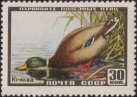 1957-034 Марка СССР Кряква   Фауна I Θ