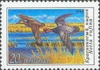 1990-059 Марка СССР Красноносый нырок  Утки III O
