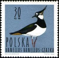 (1964-033) Марка Польша "Чибис (Пигалица)"   Водоплавающие птицы I Θ
