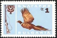 (1967-001) Марка Болгария "Фазан обыкновенный"   Охота II O