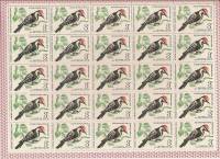 1979-071  Листы (100 шт по 25м 5х5) СССР Малый пёстрый дятел   Птицы III O