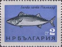 (1965-035) Марка Болгария "Пеламида"   Рыбы Чёрного моря II Θ