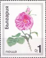 (1970-028) Марка Болгария "Масличная роза"   Розы III Θ