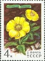 1977-027 Марка СССР Новосиверсия ледниковая  Цветы гор Сибири III Θ